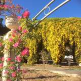 La villa � dotata di un parco grande un ettaro. Qui il porticato a emiciclo rivestito dalla bignonia gialla